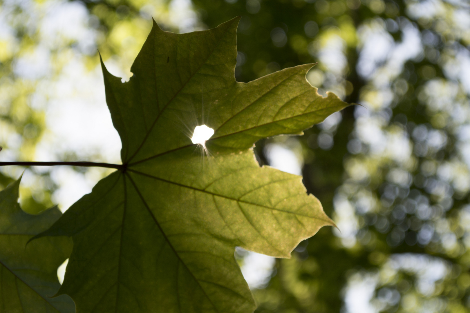 Mit der Natur im Einklang