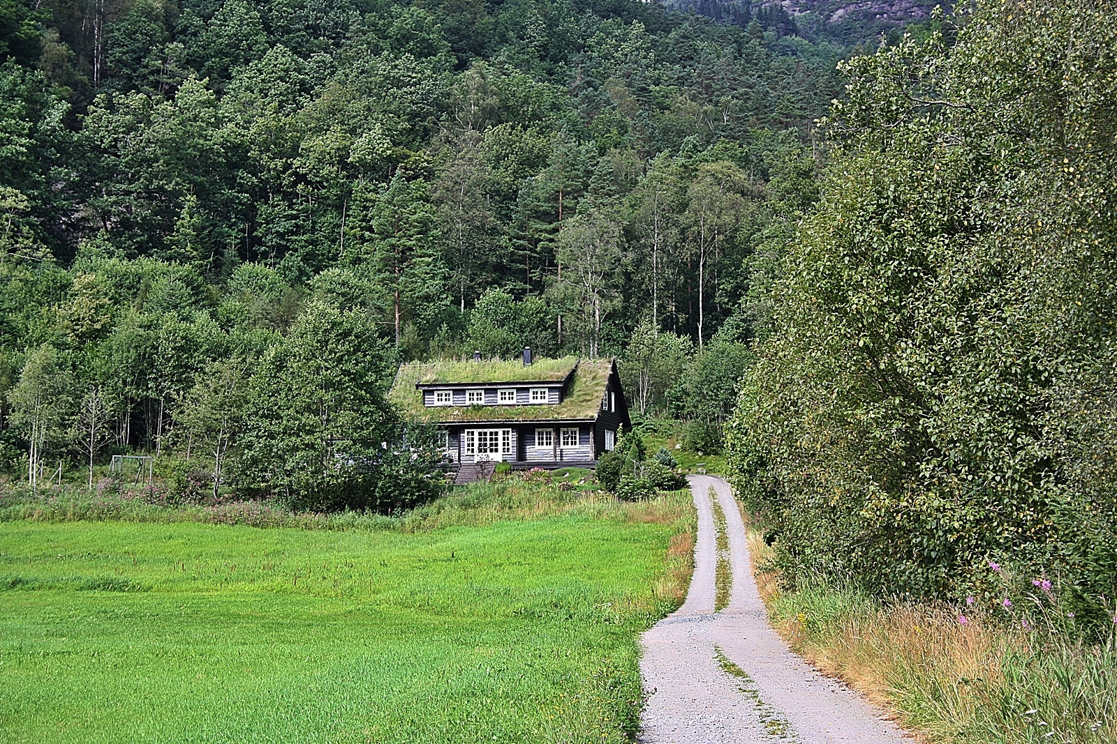 Mit der Natur verwachsen