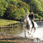 Mit der neuen Olympus OM-D E-M1 auf Castle Leslie IV