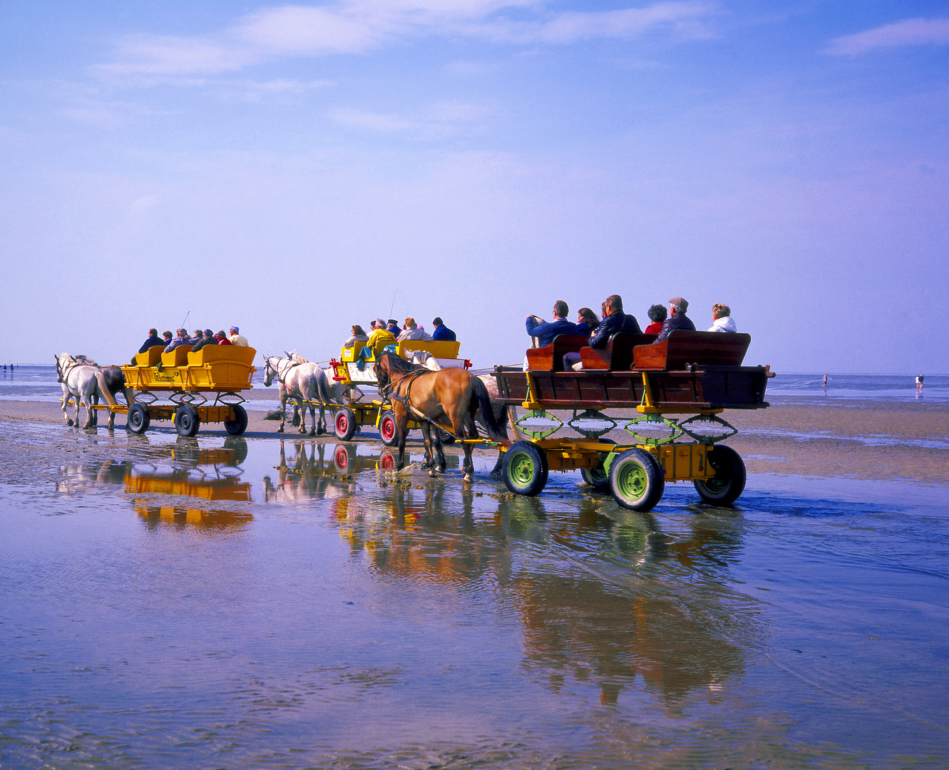 Mit der Pferdekutsche durch das Wattenmeer