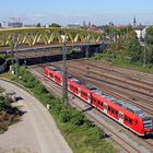 Mit der Rhein-Neckar-S-Bahn nach Norddeich Mole?