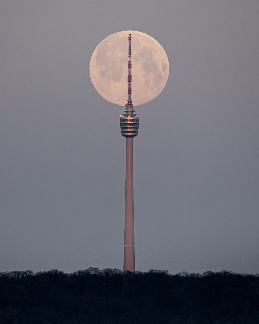 Mit der richtigen Planung klappt´s!