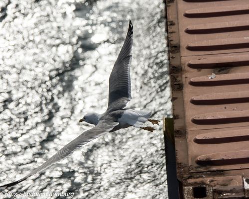 Mit der " Ruth " von Hamburg nach Teneriffa