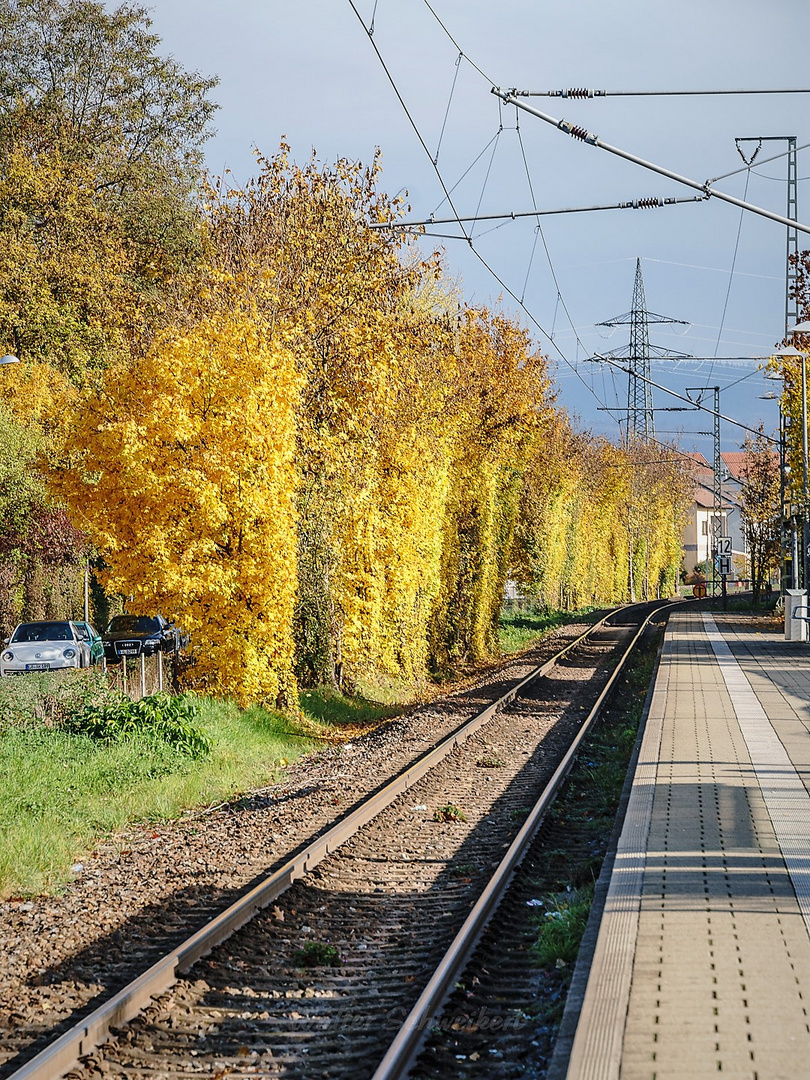 Mit der S5 + S6