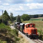 Mit der Schmalspurbahn nach Heidenreichstein