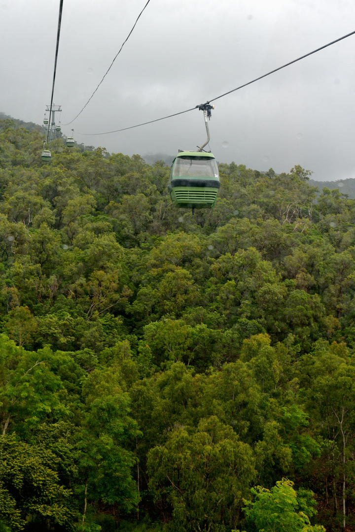 Mit der Seilbahn über den Regenwald