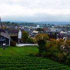 Mit der Seilbahn über den Rüdesheimer Weinberg