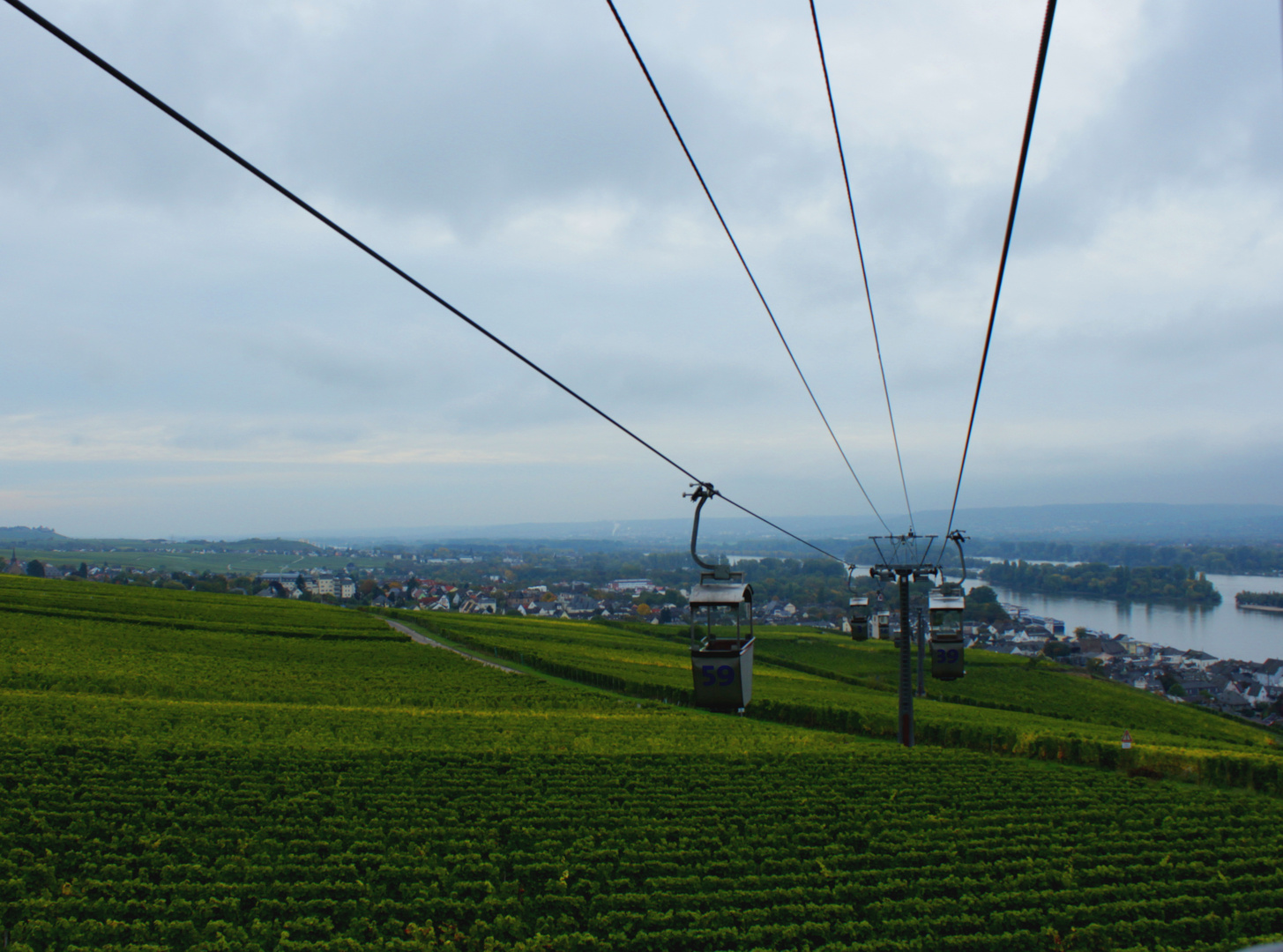 Mit der Seilbein über den Rüdesheimer Weinberg -2,