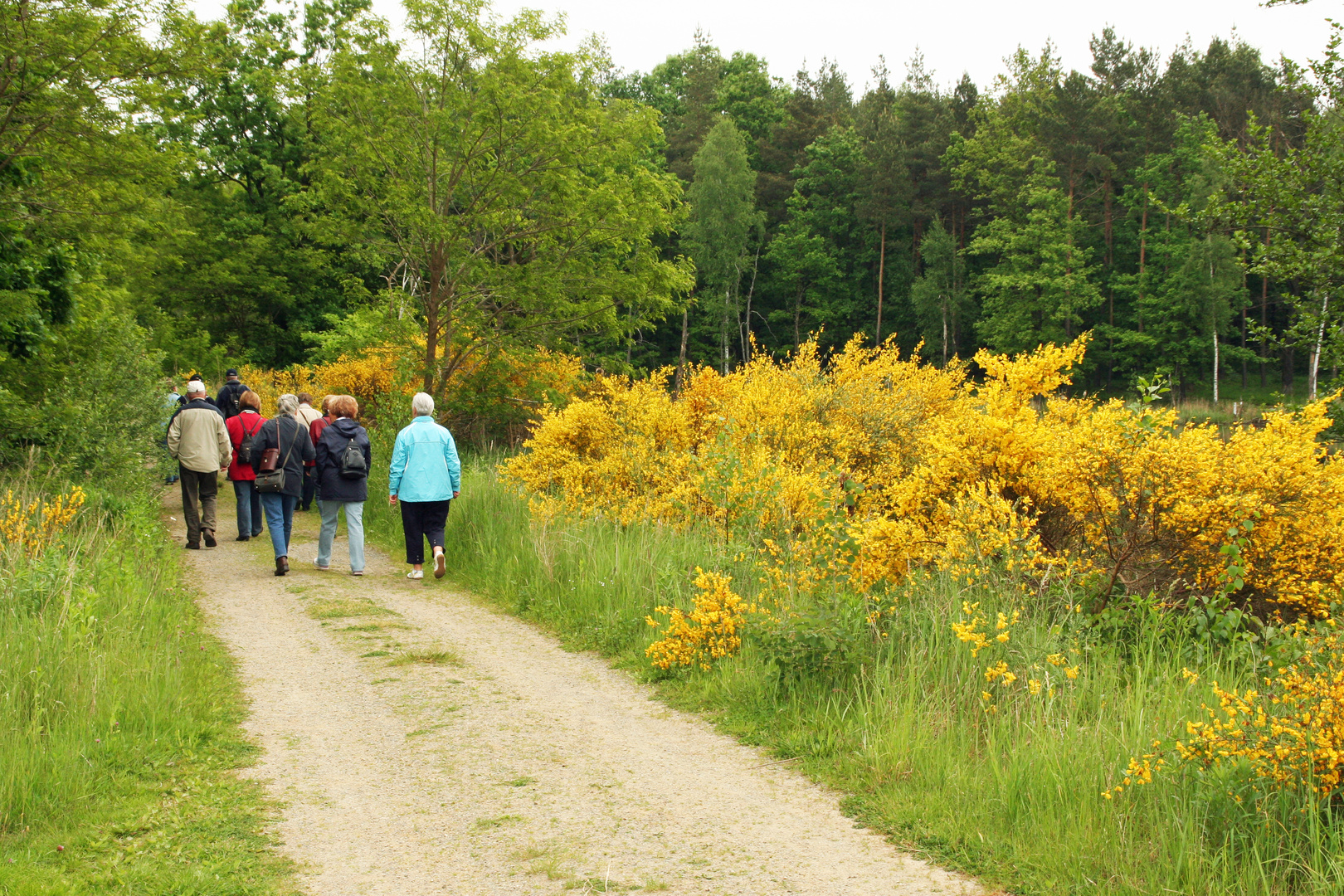 Mit der Seniorenakademie in der Königsbrücker Heide bei Dresden