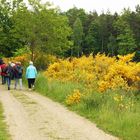 Mit der Seniorenakademie in der Königsbrücker Heide bei Dresden