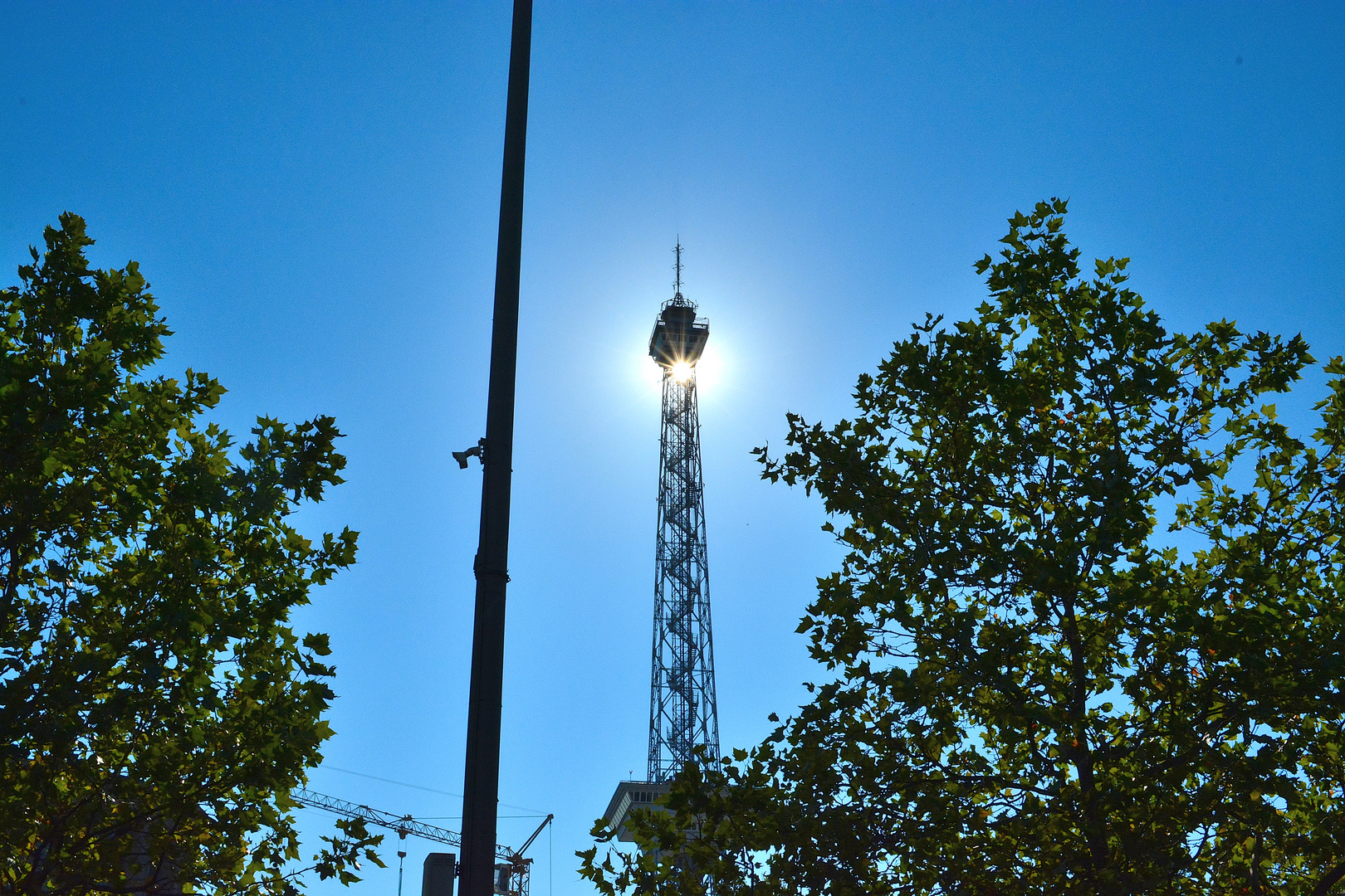 Mit der Sonne durch Berlin 12 Foto & Bild outdoor, sonne, natur