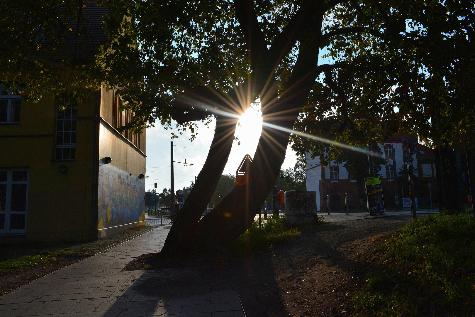 Mit der Sonne durch Berlin 3