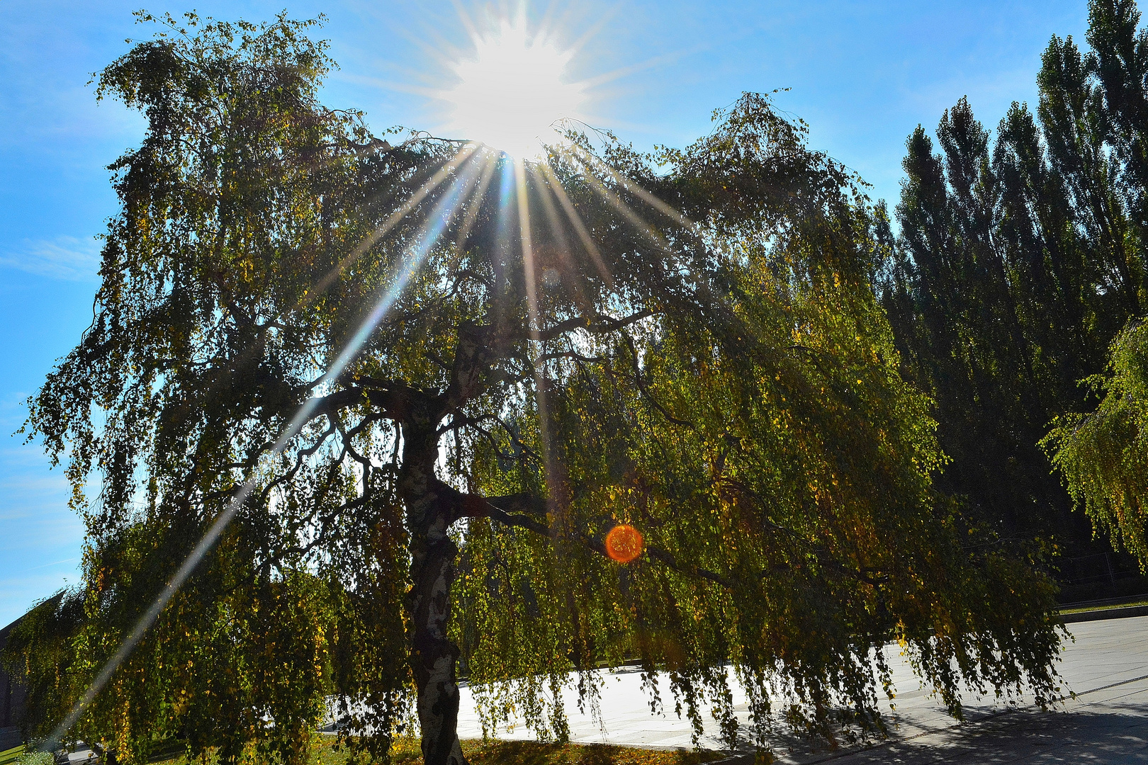 Mit der Sonne durch Berlin 6 Foto & Bild outdoor, sonne, natur Bilder