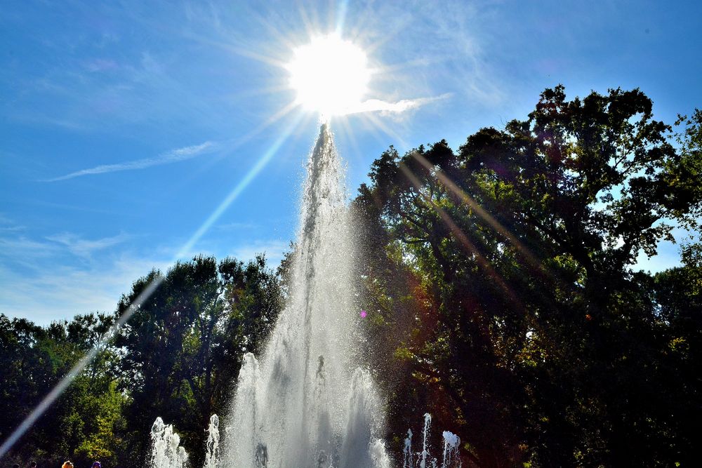 Mit der Sonne durch Berlin 8 Foto & Bild outdoor, sonne, natur Bilder