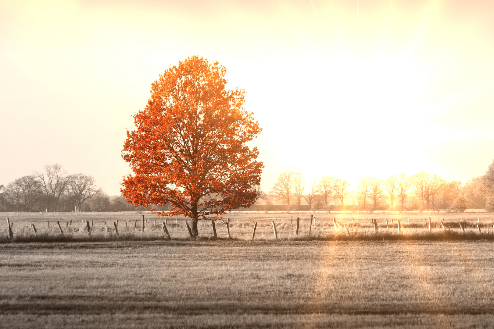 Mit der Sonne im Rücken 