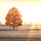 Mit der Sonne im Rücken 