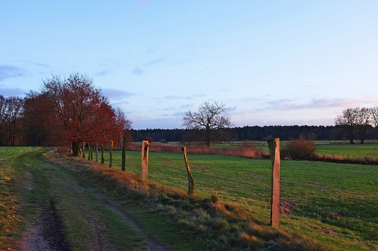 Mit der Sonne im Rücken