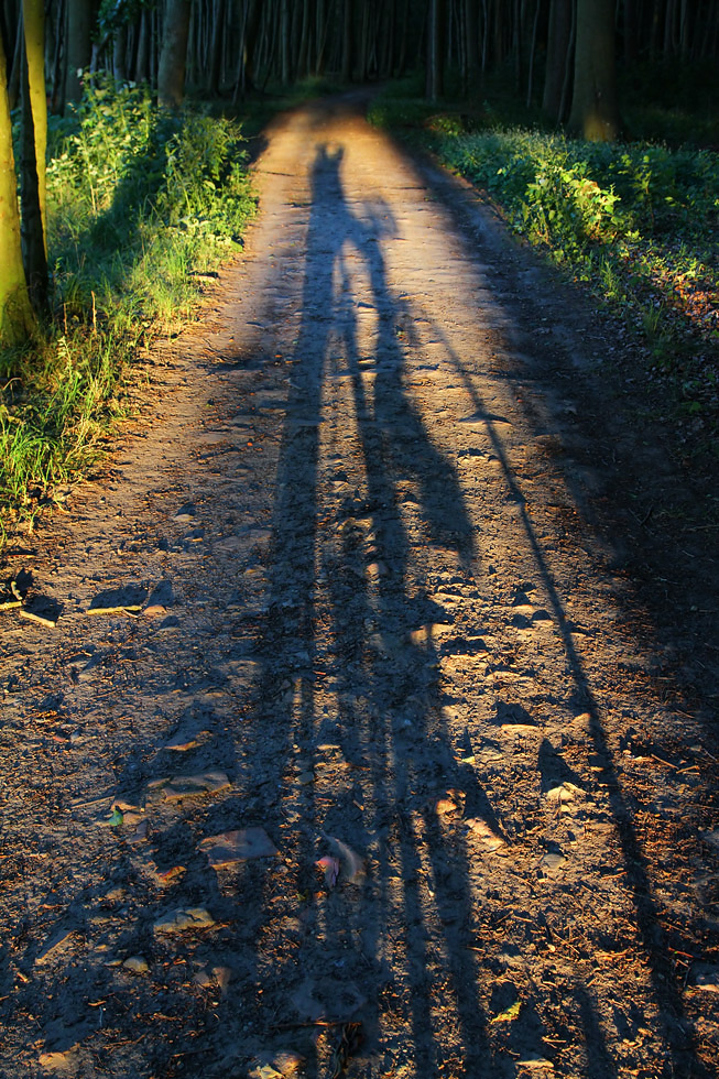 Mit der Sonne im Rücken