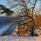 Mit der Sonne im Rücken hatte ich gestern  viel Freude an diesem Morgen auf der Basteiaussicht...