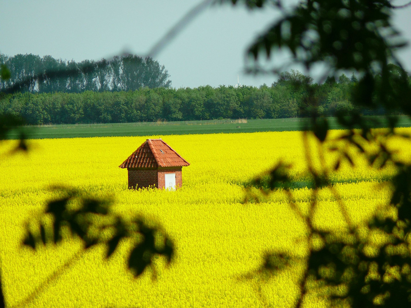 Mit der Sonne um die Wette strahlen