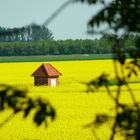 Mit der Sonne um die Wette strahlen