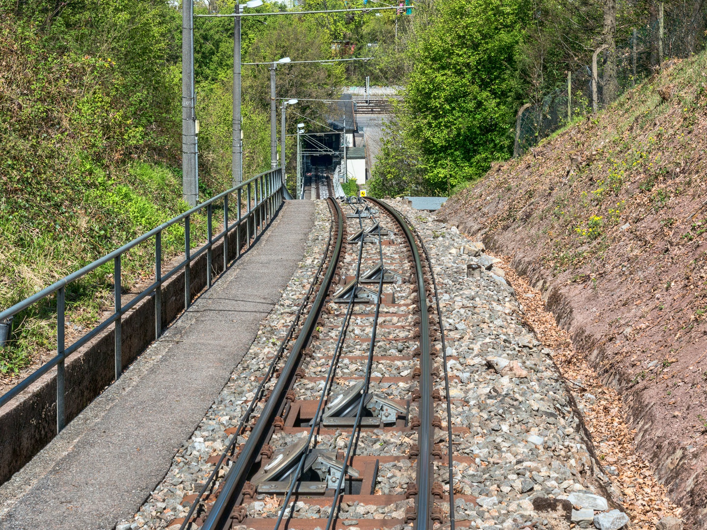 Mit der SSB Stuttgart vom Waldfriedhof