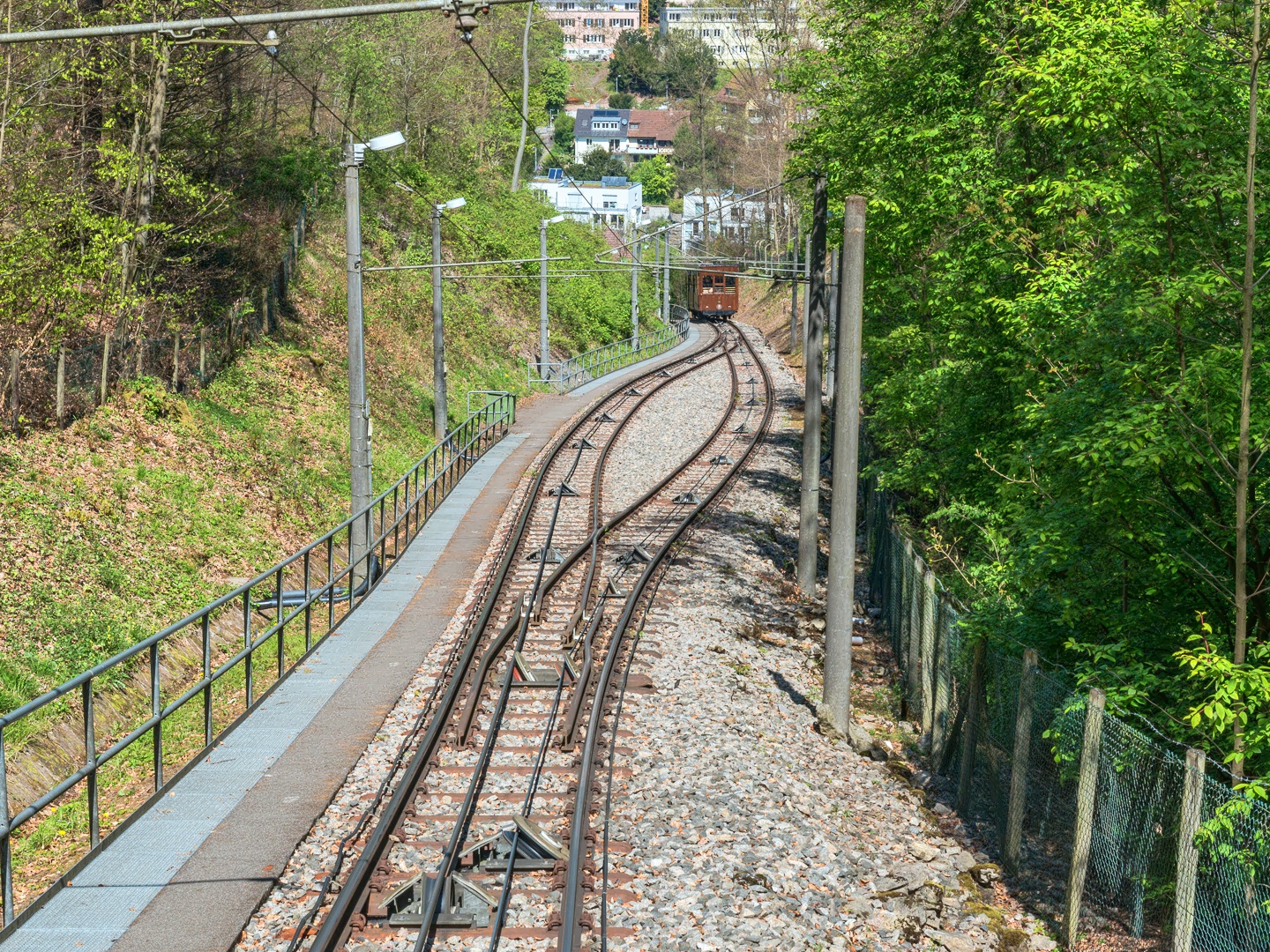 Mit der SSB vom - zum Waldfriedhof 