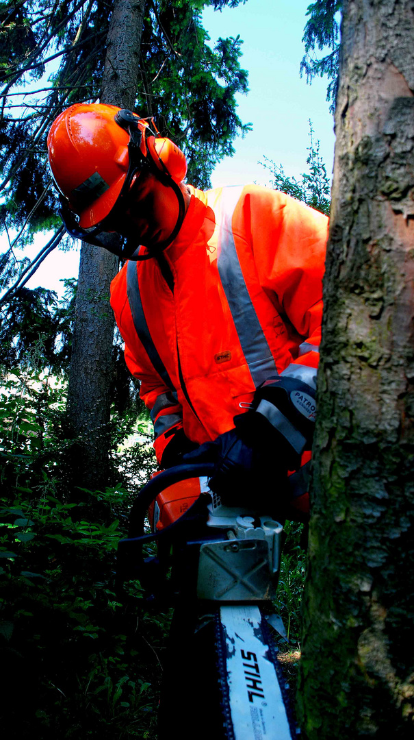 ....mit der Stihl im Einsatz!