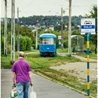 Mit der Straßenbahn durch die Hecke I