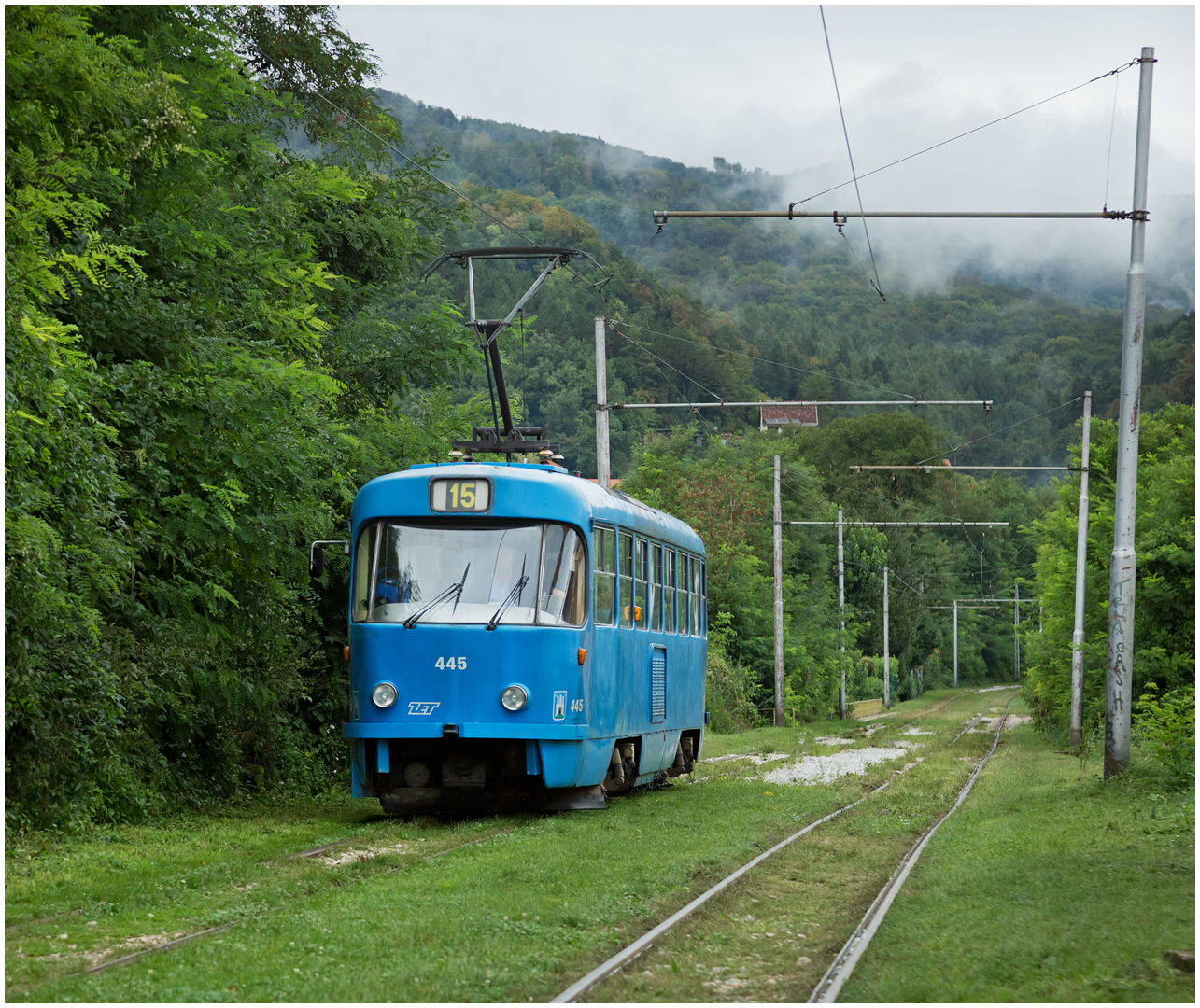 Mit der Straßenbahn durch die Hecke II