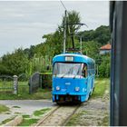 Mit der Straßenbahn durch die Hecke IV