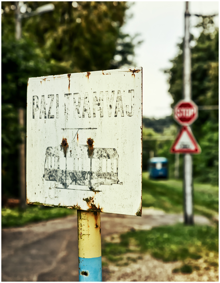 Mit der Straßenbahn durch die Hecke IX