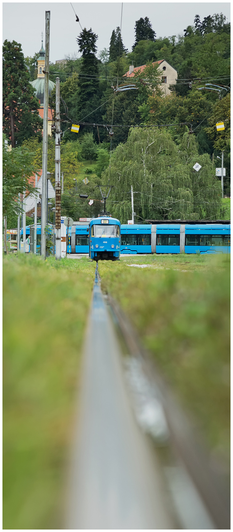 Mit der Straßenbahn durch die Hecke XI