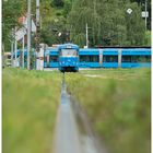 Mit der Straßenbahn durch die Hecke XI