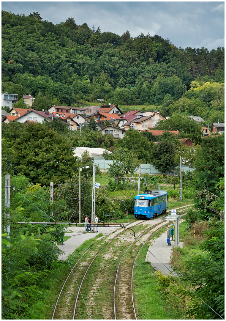 Mit der Straßenbahn durch die Hecke XII