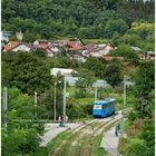 Mit der Straßenbahn durch die Hecke XII