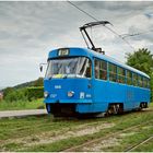 Mit der Straßenbahn durch die Hecke XIII