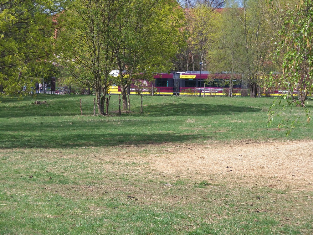 Mit der Straßenbahnlinie M8 in den Landschaftspark Herzberge