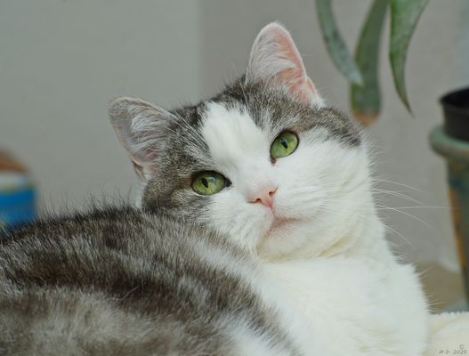 Mit der süßen Sookie ...