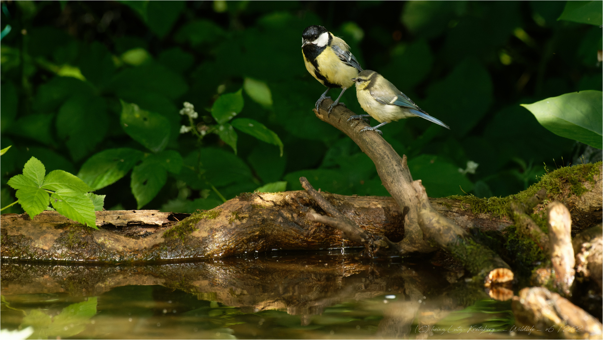 .. mit der Tante im Waldschwimmbad 