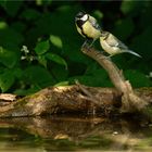 .. mit der Tante im Waldschwimmbad 