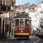 Mit der Tram durch die Altstadt