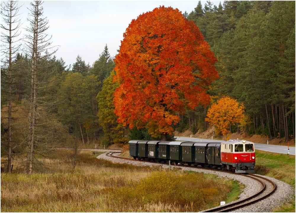 Mit der V5 der Waldviertelbahn