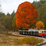 Mit der V5 der Waldviertelbahn