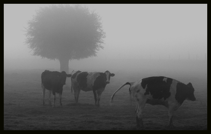 Mit diesem..... Foto & Bild | archiv - kritik am bild, kritik am bild