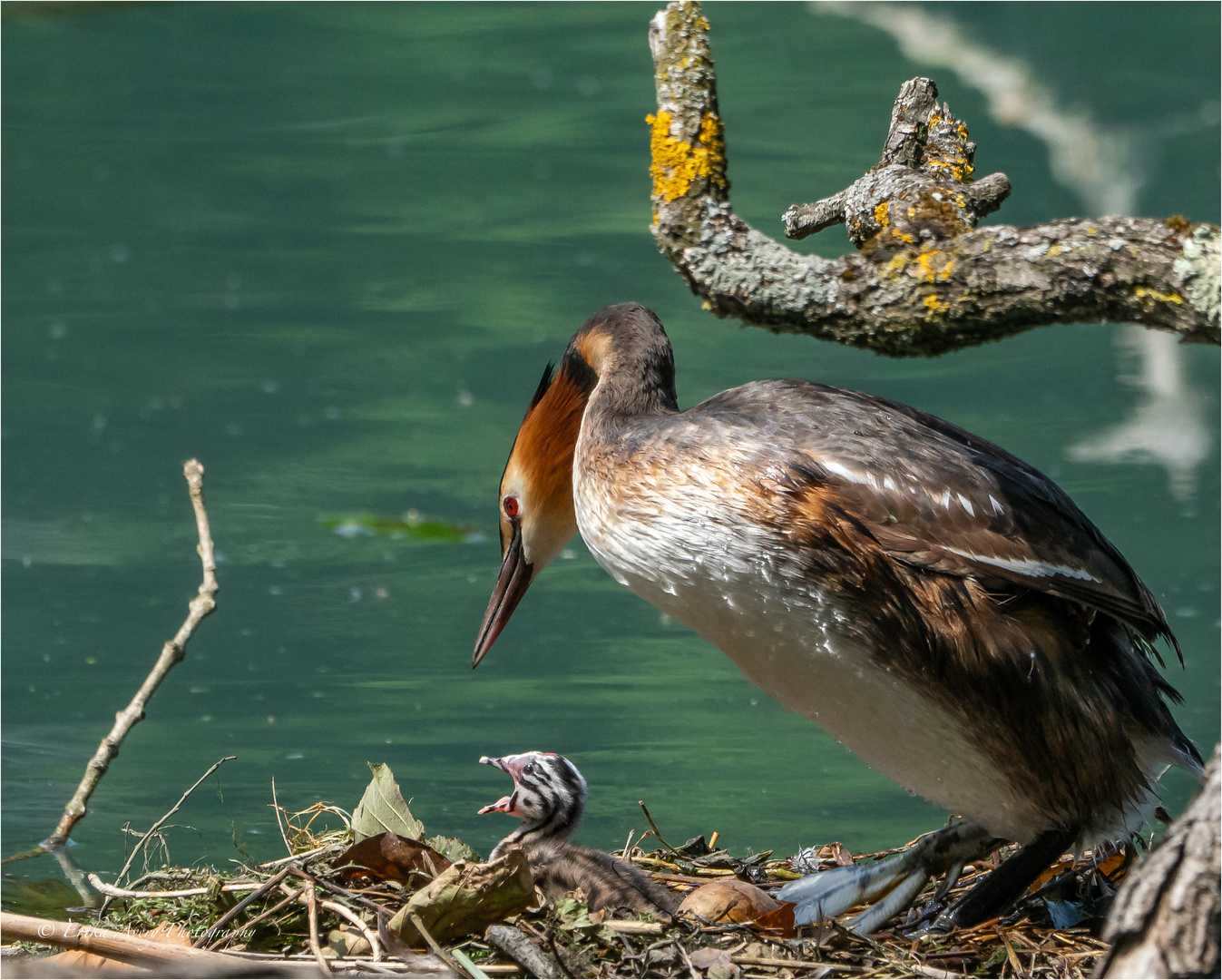 Mit diesem Bild.... Foto & Bild | wasser, frühling, natur Bilder auf