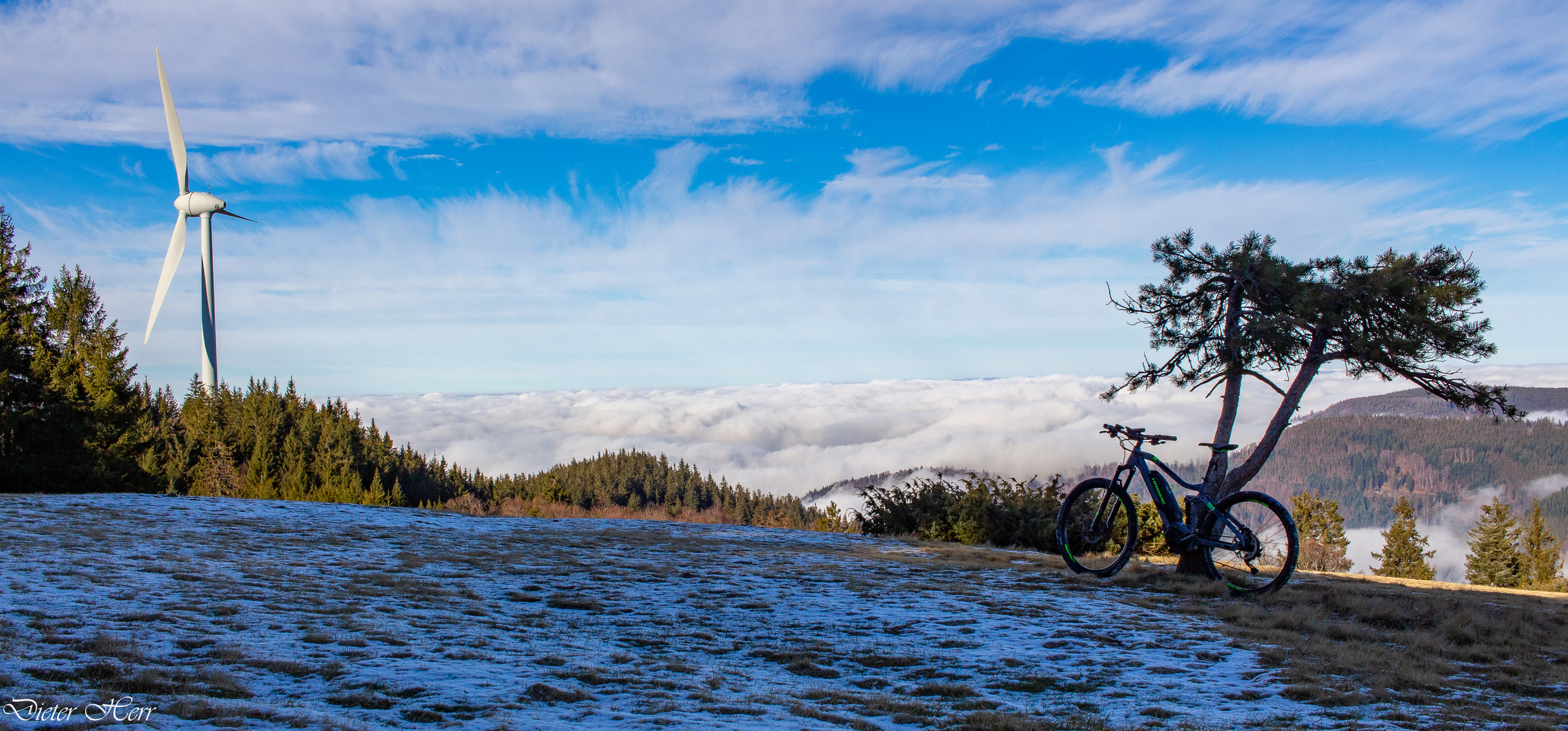 Mit diesem Bild... Foto & Bild | Bilder auf fotocommunity