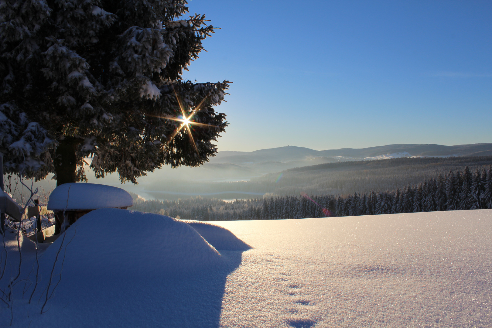 Mit diesem Blick erwachen