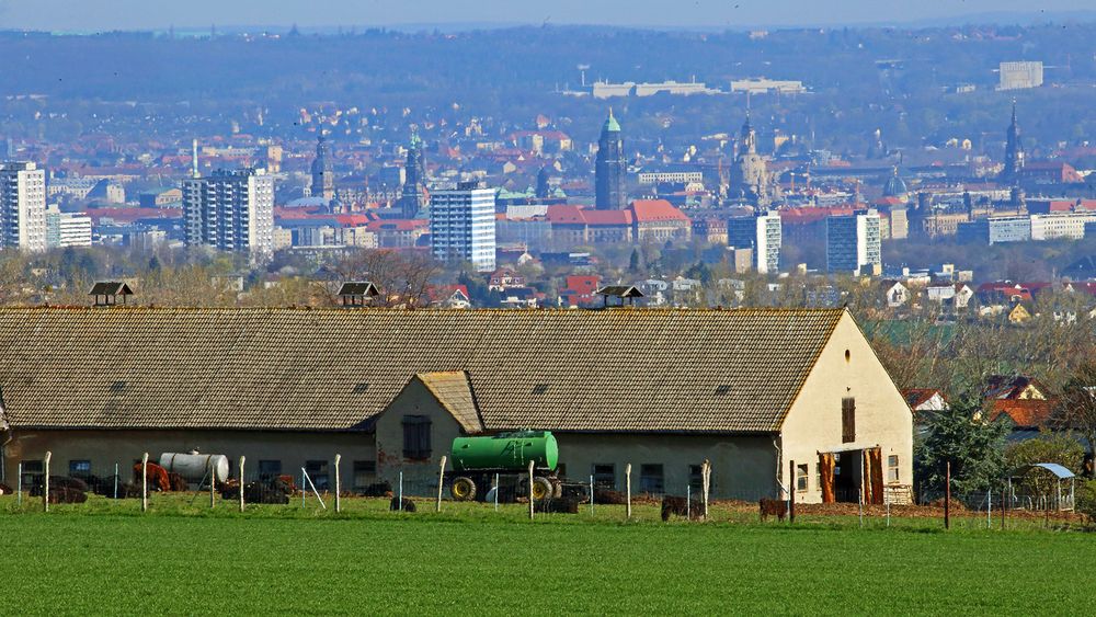 Mit diesem Dresdenblick unter Einbeziehung des bäuerlichen Umlandes...