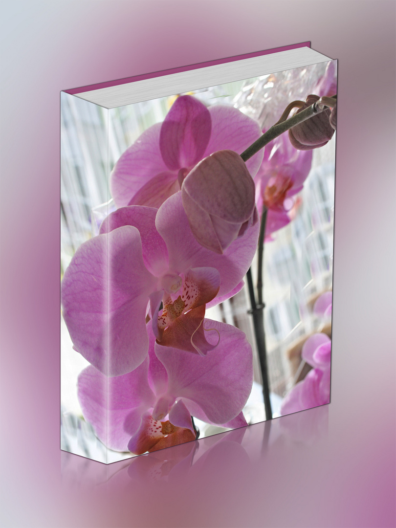 Mit diesem Orchideenbuch